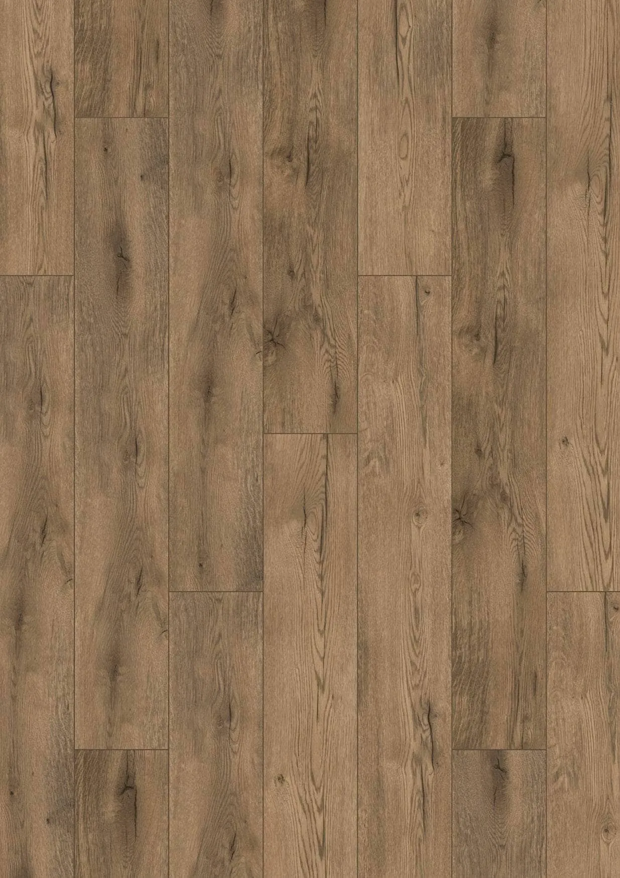 Krono Westside Oak 12mm Laminate Flooring  (1.51m² Pack)