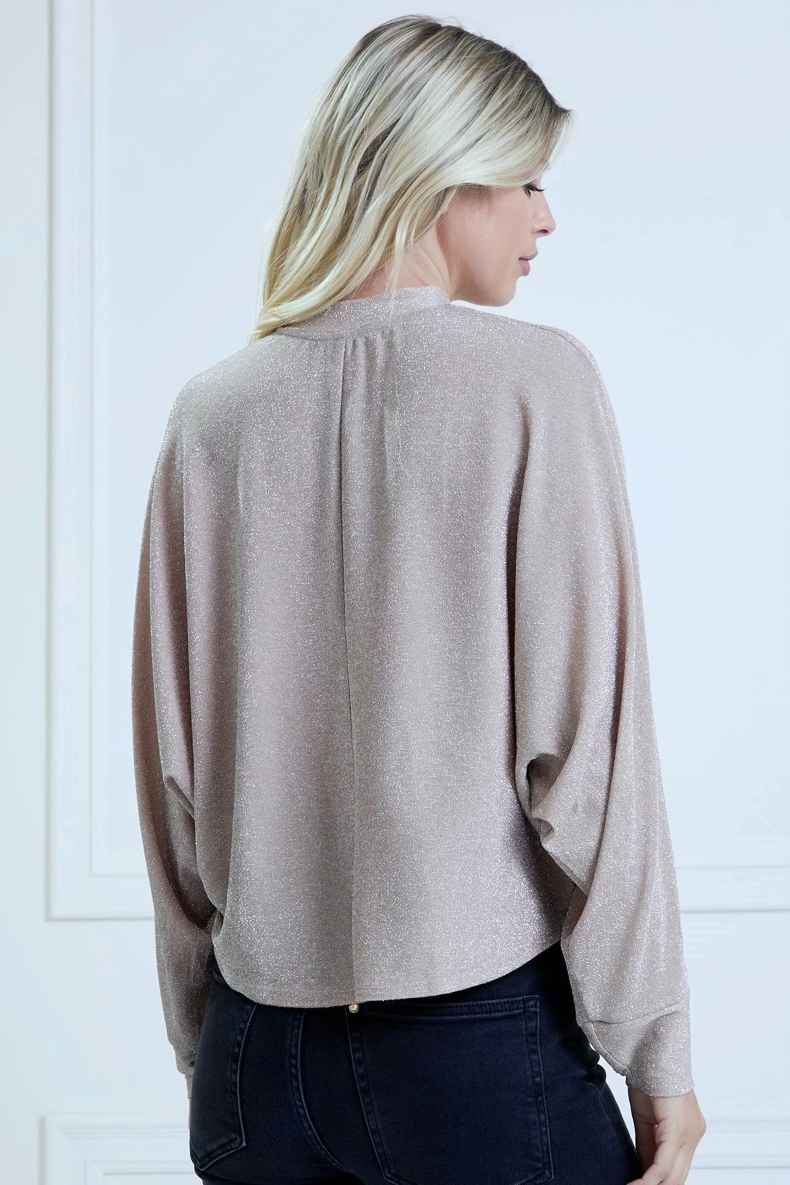 Metallic Oversized Knit Top