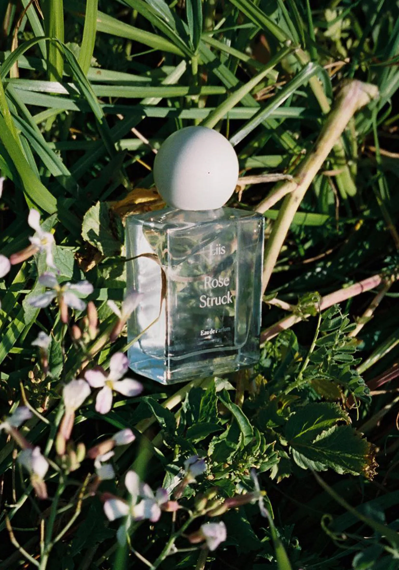 Rose Struck Eau de Parfum