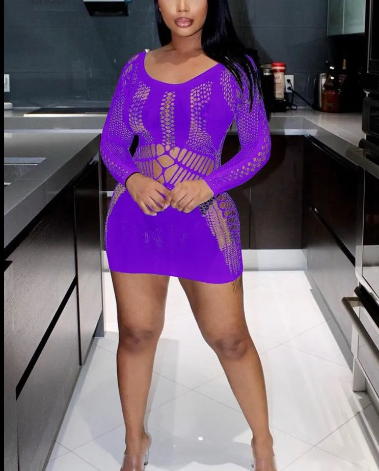Summer Fling Mesh Mini Dress