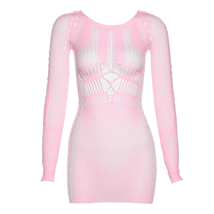 Summer Fling Mesh Mini Dress