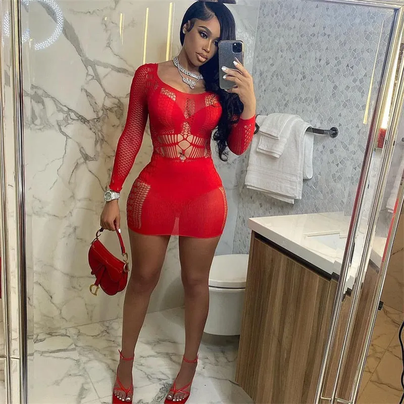 Summer Fling Mesh Mini Dress