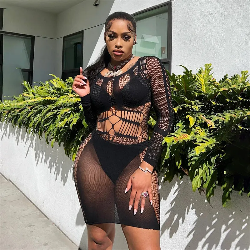 Summer Fling Mesh Mini Dress
