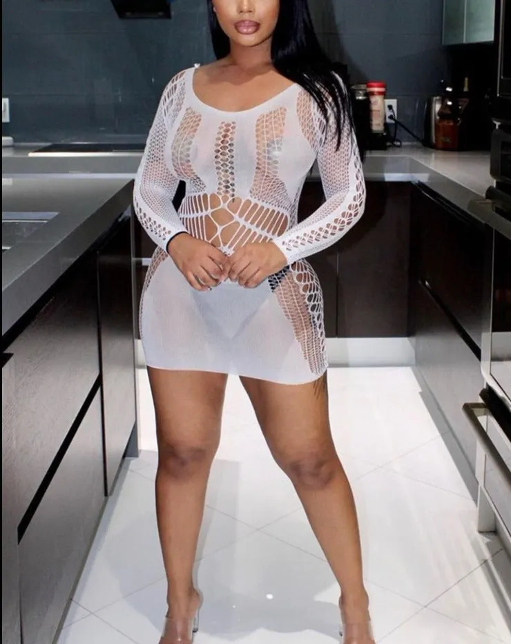 Summer Fling Mesh Mini Dress