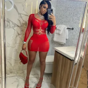 Summer Fling Mesh Mini Dress