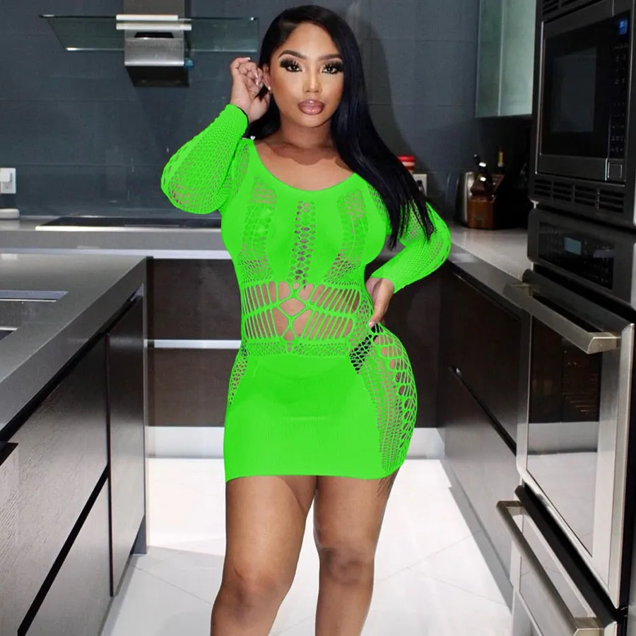 Summer Fling Mesh Mini Dress