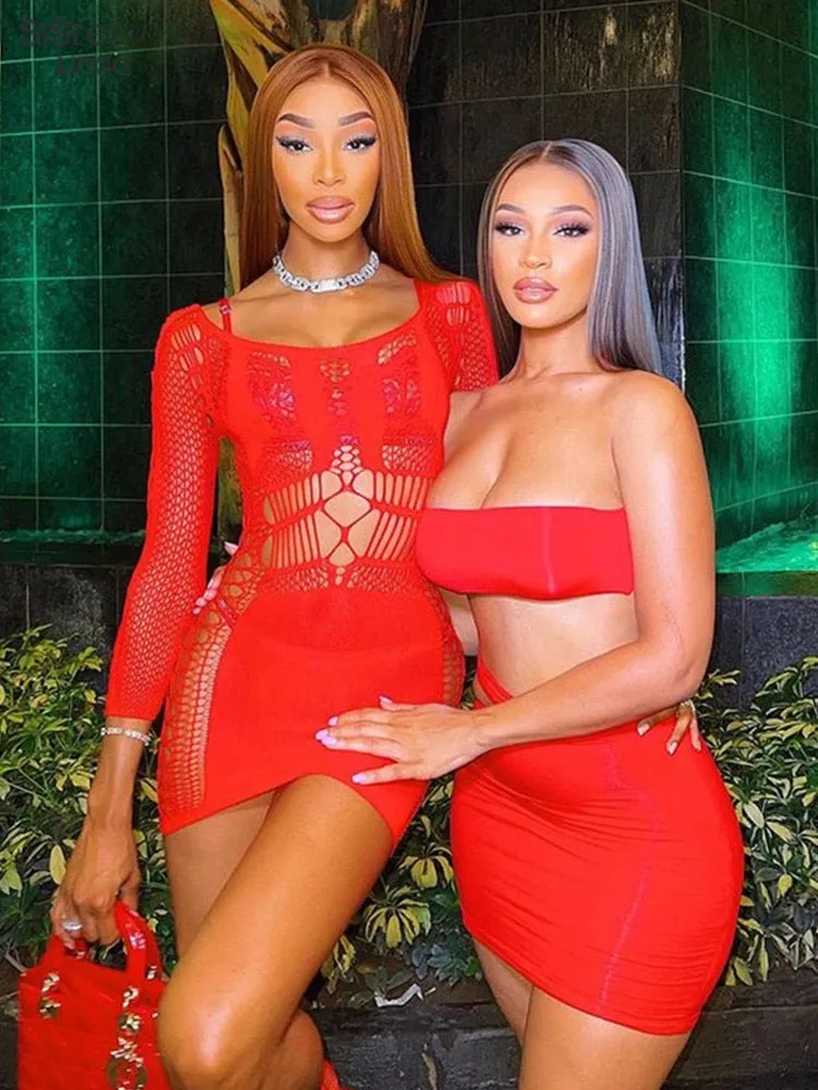 Summer Fling Mesh Mini Dress